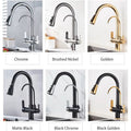 Filtered Water Kitchen Faucet with Pull-Out Spray