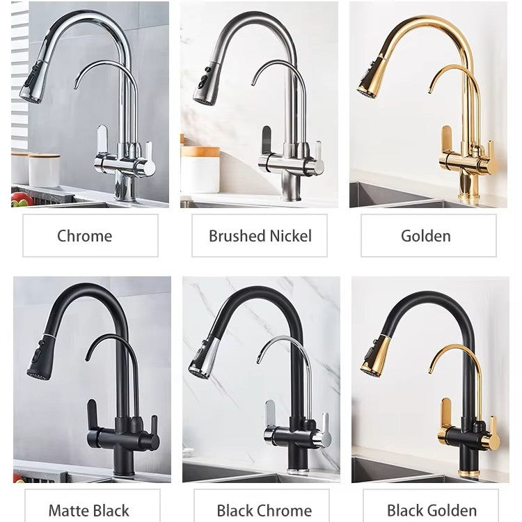 Filtered Water Kitchen Faucet with Pull-Out Spray